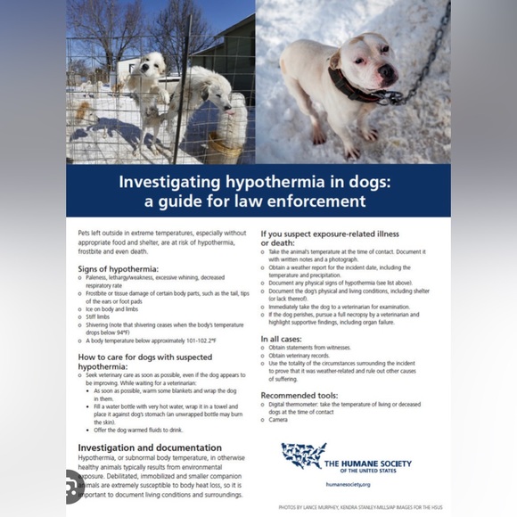 BE A GOOD HUMAN & BE KIND TO ALL LIFE! - Picture 5 of 13